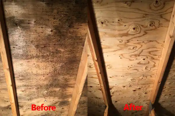water damage restoration service East Douglas
